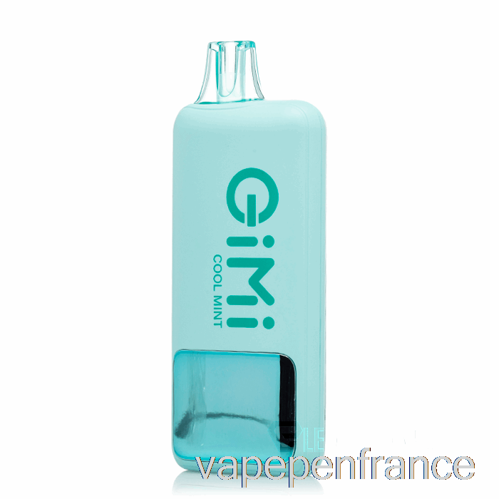 Stylo Vape Jetable Intelligent Flum Gimi 8500 à La Menthe Fraîche